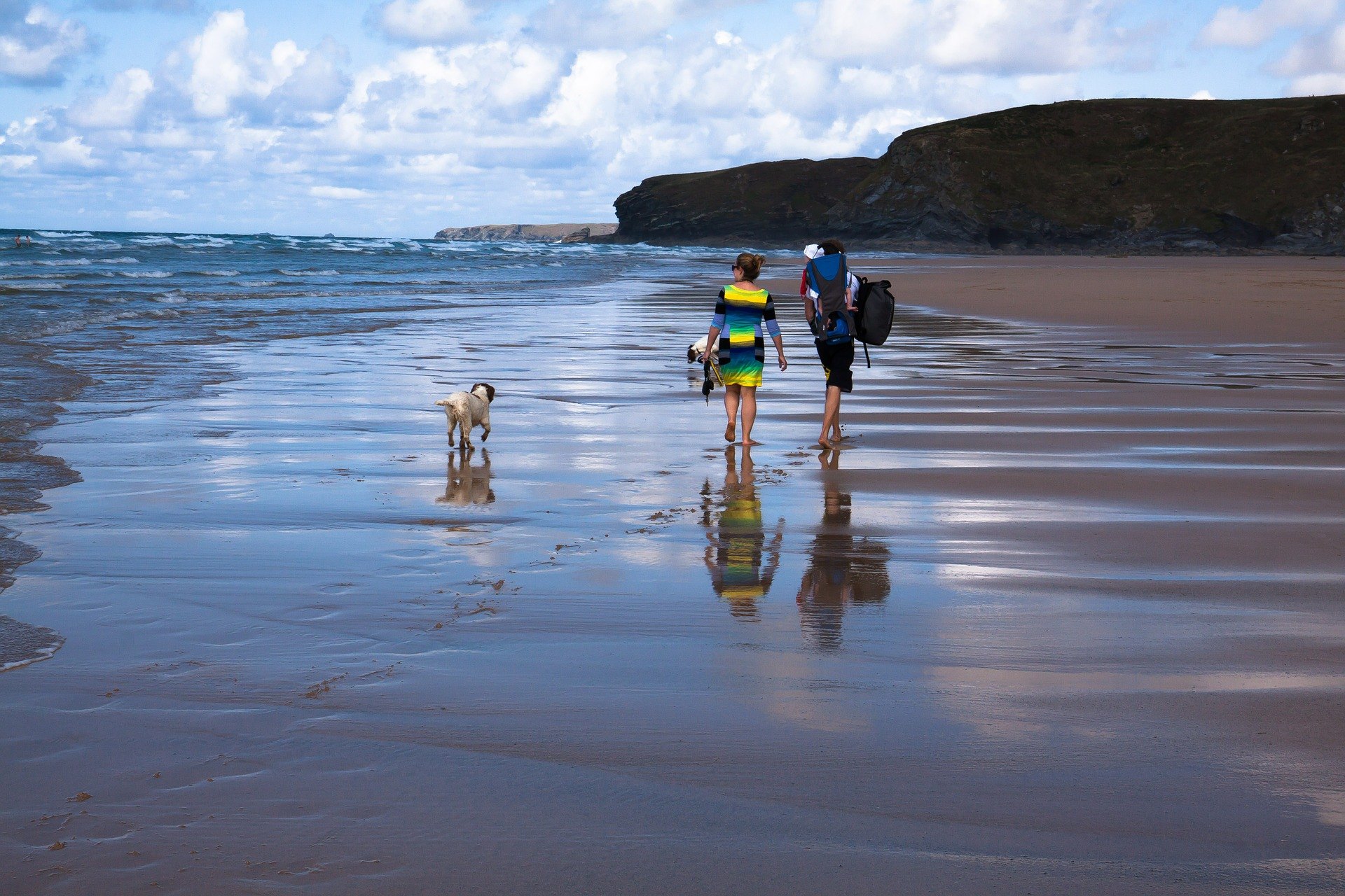 Výlet se psem k moři vyžaduje pečlivou přípravu kvůli bezpečnosti domácího mazlíčka a pohodlí ostatních rekreantů.