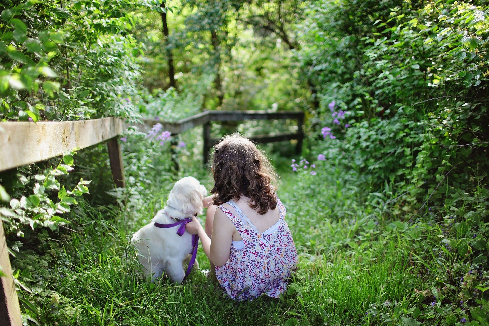 Psi pro děti by měli být charakterizovány péčí, krotkou povahou, trpělivostí, jako např. labradorský retrívr.