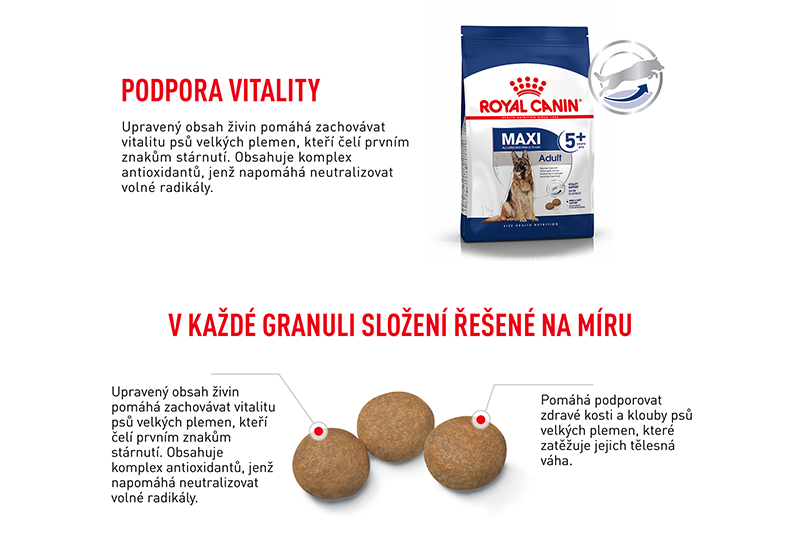 ROYAL CANIN Maxi adult 5+ granule pro dospělé stárnoucí velké psy