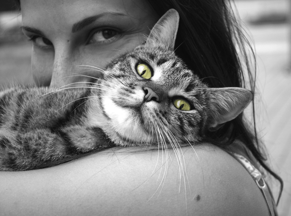 Czarno-białe zdjęcie kota na rękach pani. Pani całuje kota. Tylko oczy kota są w kolorze - zielone.