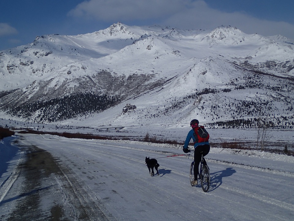 Pes běží připojený k jízdnímu kolu, na kterém muž jede. Výlet je uprostřed zasněžených hor. Výlety na kole se psem se mohou konat i v zimě, pokud je pes na to dobře připraven.