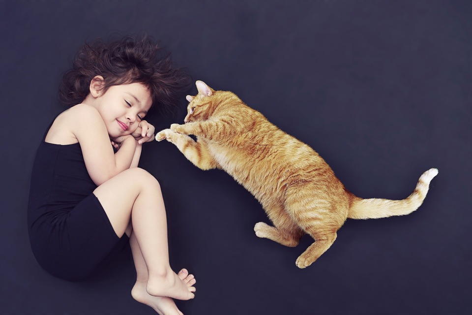 Kot leży obok leżącej małej dziewczynki, kot próbuje ją zaczepiać do zabawy.