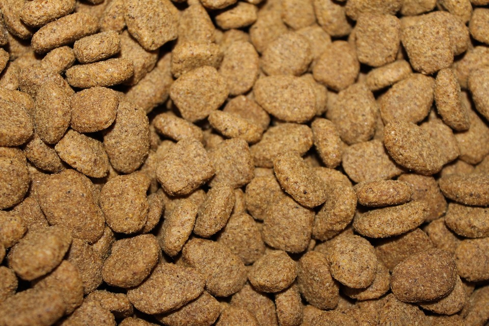 Granule pro psy jsou mastné, drsné a drobivé. Aby byly stále čerstvé, měly by být správně uloženy.