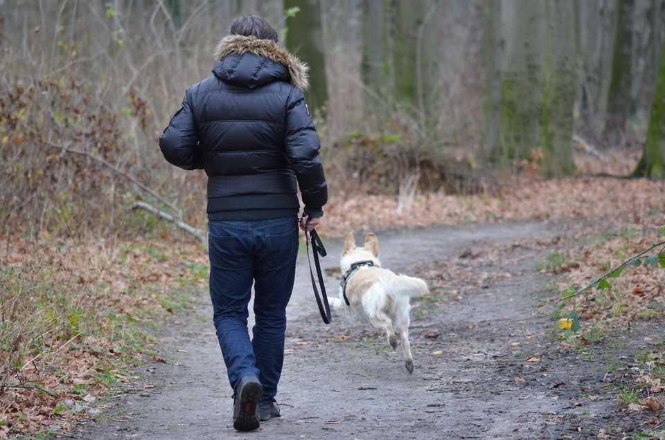 Pro vaši vlastní bezpečnost a pro bezpečnost vašeho psa bychom ho měli vždy venčit na vodítku. I v lese nebo na mýtině hrozí nebezpečná nebezpečí. Vodítka s dlouhým dosahem lze použít k tomu, aby pes mohl volně pobíhat.