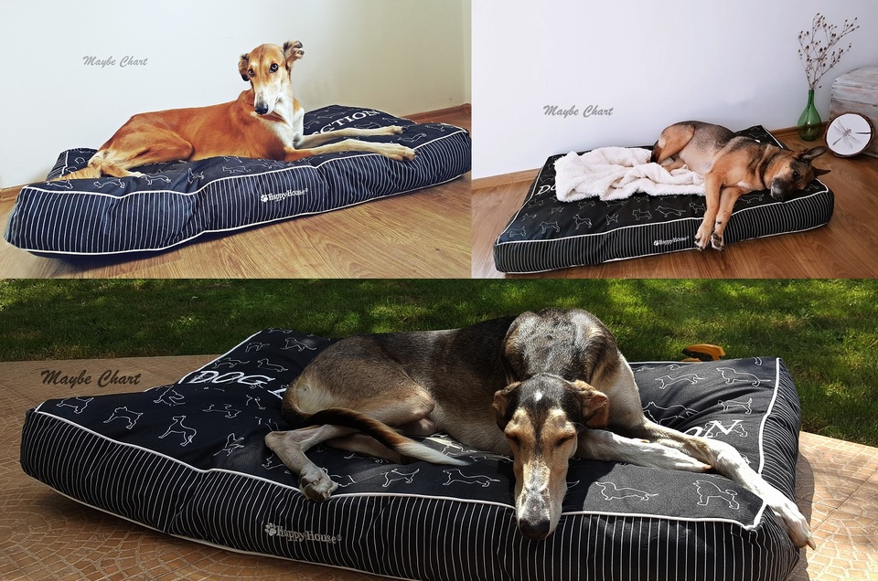 Pelíšek pro psy je důležitým místem odpočinku psa