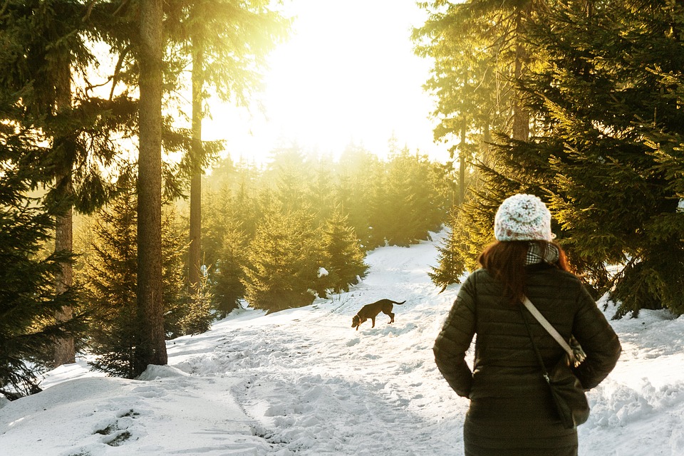 Zimní procházky se psem mohou být zábavné, když se na ně správně připravíte.
