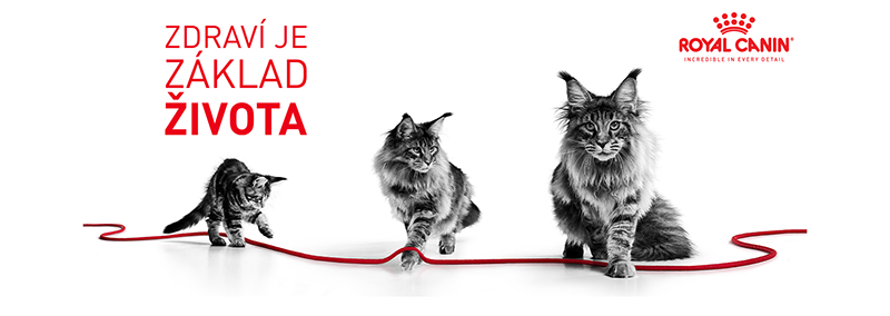 ROYAL CANIN Instinctive babycat 195 g Can konzerva pro kojící kočky a koťata
