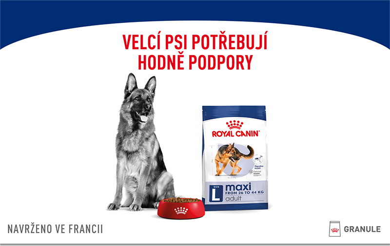 ROYAL CANIN Maxi Adult granule pro dospělé psy velkých plemen starší 15 měsíců
