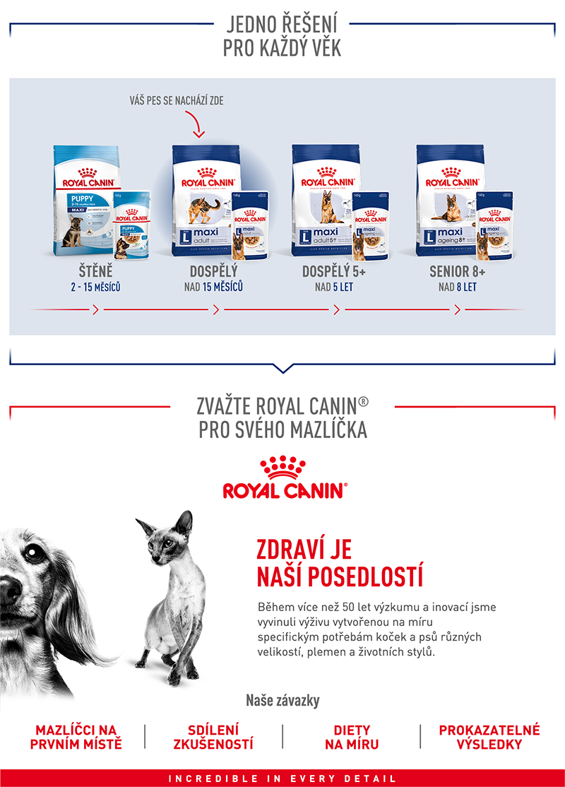 ROYAL CANIN Maxi Adult granule pro dospělé psy velkých plemen starší 15 měsíců