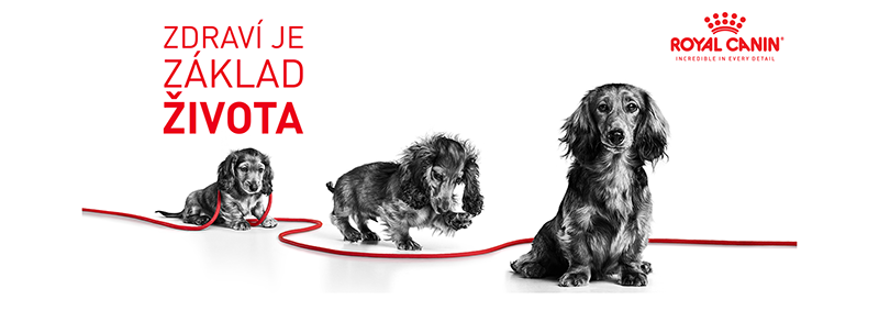 ROYAL CANIN Maxi Puppy granule pro štěňata velkých plemen