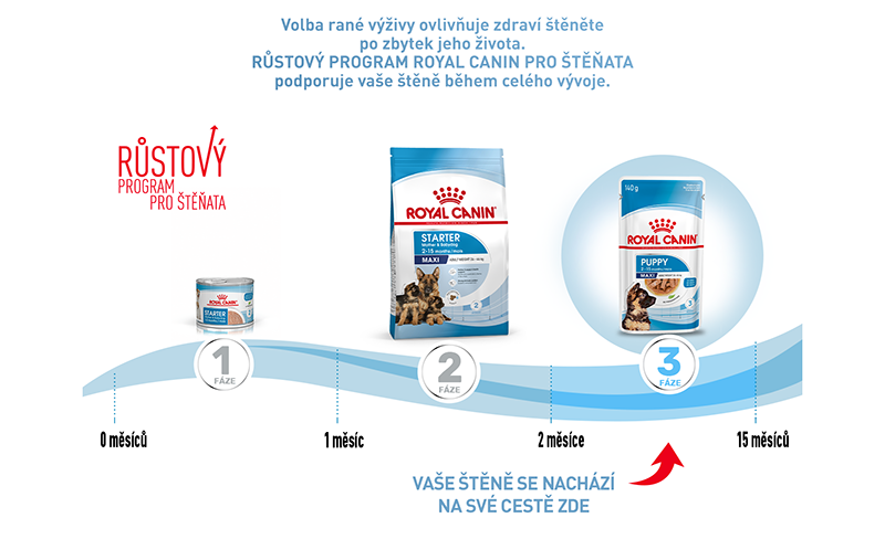ROYAL CANIN Maxi Puppy granule pro štěňata velkých plemen