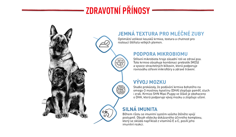 ROYAL CANIN Maxi Puppy granule pro štěňata velkých plemen