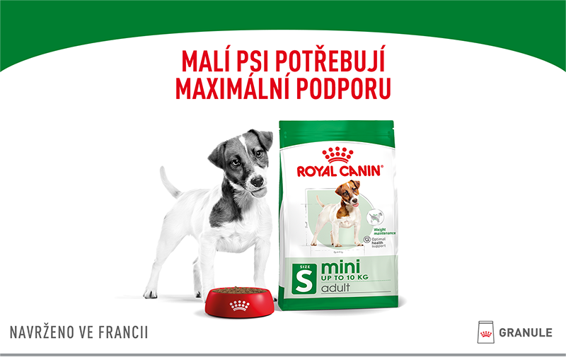 ROYAL CANIN Mini Adult granule pro dospělé psy malých plemen