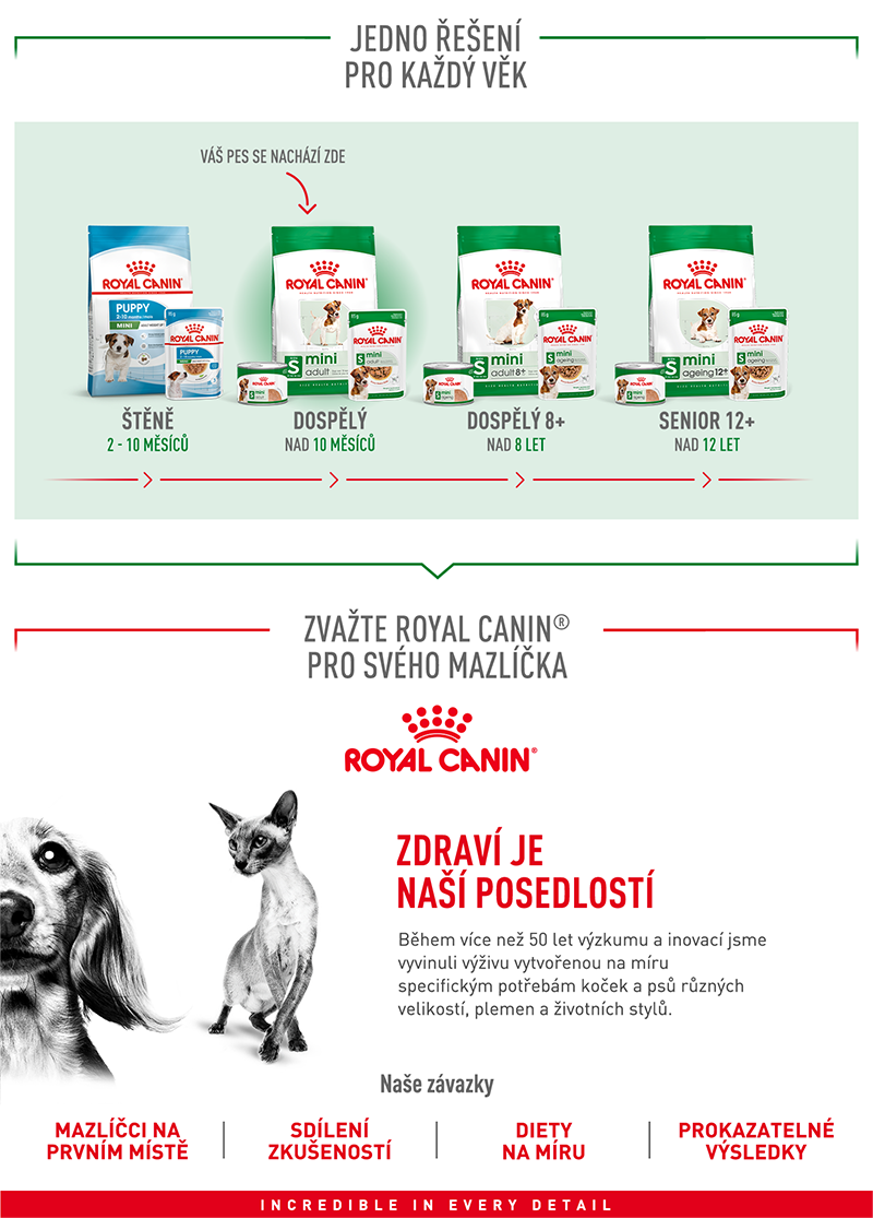 ROYAL CANIN Mini Adult granule pro dospělé psy malých plemen