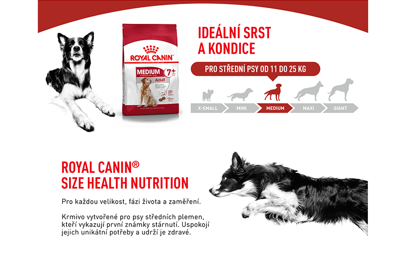 ROYAL CANIN Medium Adult 7+ granule pro stárnoucí psy středních plemen nad 7 let 15 kg