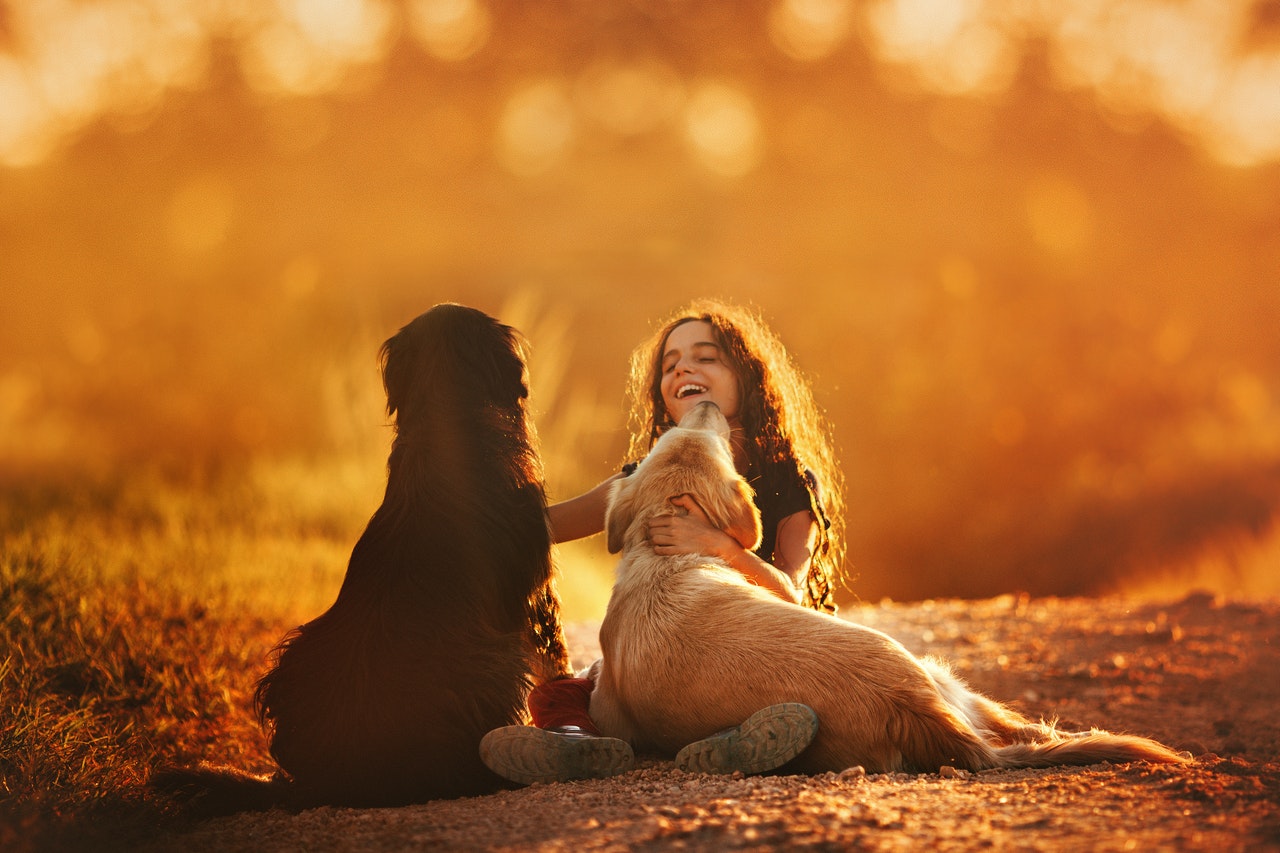 Un enfant et un chien peuvent devenir amis. Il est important de les interpréter correctement.
