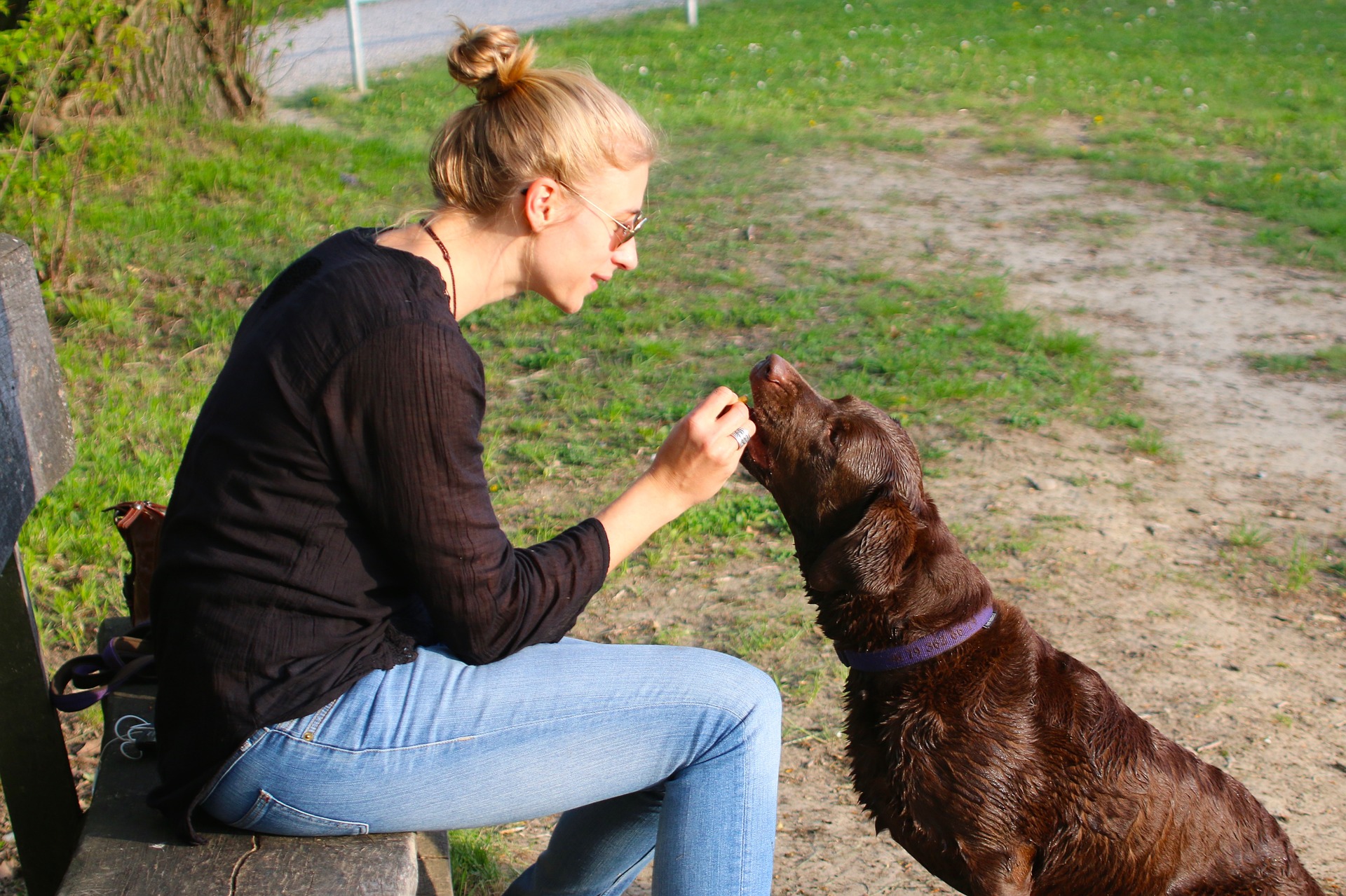 Chovatelé a trenéři zdůrazňují, že při výchově psů je klíčová pozitivní motivace a odměňování domácího mazlíčka. Použití ohlávky je formou trestu a v žádném případě by se nemělo stát jednou z hlavních metod výcviku.
