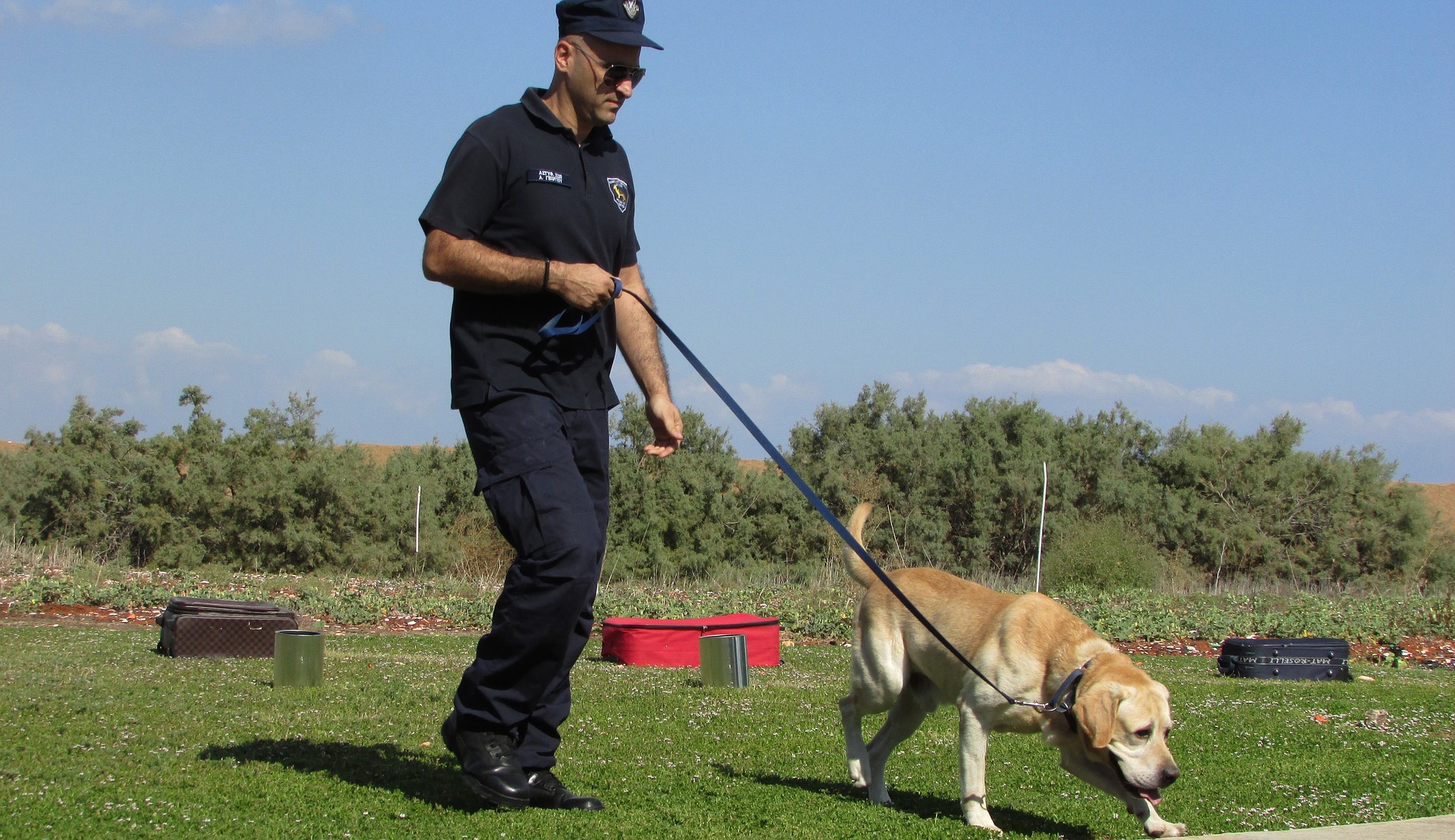 Od štěněte je policejní pes cvičen v určitých činnostech. Některá plemena, například německý ovčák, jsou náchylní k práci ve službě.