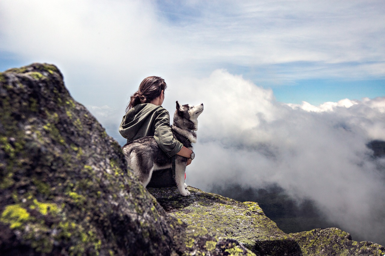Husky siedzi wraz z opiekunem na szczycie góry. Spora dawka ruchu i wysiłku to dla psów tej rasy podstawa.