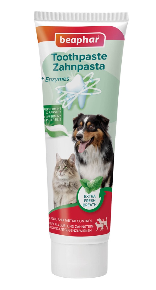 BEAPHAR Toothpaste Mint and Parsley 100 g zubní pasta s příchutí máty a petrželky pro psy a kočky