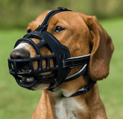 TRIXIE Náhubek Muzzle Flex silikonový L–XL