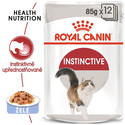 ROYAL CANIN Instinctive Jelly 85 g kapsička pro kočky v želé