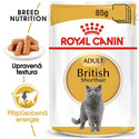 ROYAL CANIN British Shorthair Gravy 6x 85g kapsička pro britské krátkosrsté kočky ve šťávě