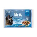 BRIT Premium Cat Dinner plate gravy 4 x 85g
