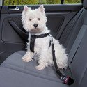 TRIXIE Bezpečnostní pás do auta  pro psa XS
