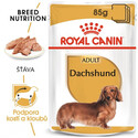 ROYAL CANIN Dachshund Loaf 85g kapsička s paštikou pro jezevčíka