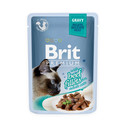 BRIT Premium Cat Fillets in Gravy Beef 24 x 85 g