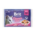 BRIT Premium Fillet Dinner plate mix příchutí v želé 52 x 85 g