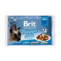 BRIT Premium Gravy fillet Dinner plate Sauce Mix příchutí 52 x 85 g