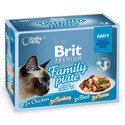 BRIT Premium Gravy fillet Family talíř Sáčky v omáčce pro kočky, směs příchutí 48 x 85 g