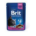 BRIT Premium Cat with Chicken & Turkey 24 x 100g