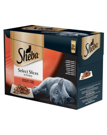 SHEBA Šťavnatý výběr 12 pack 12 x 85 g