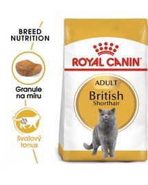 ROYAL CANIN British Shorthair Adult 10kg granule pro dospělé britské krátkosrsté kočky