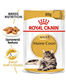 ROYAL CANIN  Maine Coon Loaf 85g x12 kapsička s paštikou pro mainské mývalí kočky