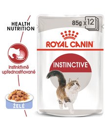 ROYAL CANIN Instinctive Jelly 12x85g kapsičky pro kočku v želé