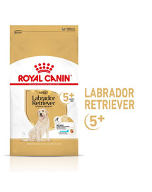 ROYAL CANIN Labrador Retriever Adult 5+ 3 kg krmivo pro labradory starší 5 let