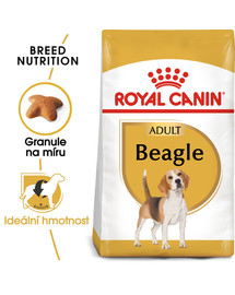 ROYAL CANIN Beagle adult 2 x 12 kg granule pro dospělé bígly