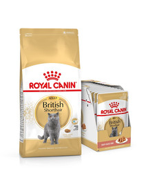 ROYAL CANIN British Shorthair suché krmivo pro dospělé kočky 10 kg + kapsičky 12x85 g