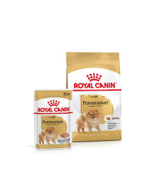 ROYAL CANIN Pomeranian Adult 3 kg + kapsičky Pomeranian Adult 12x85g
