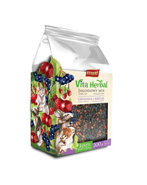 VITAPOL Vita Herbal Blueberry Mix pro hlodavce a králíky 200 g