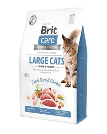 BRIT Care Cat GF Large cats Power&Vitality 2 kg