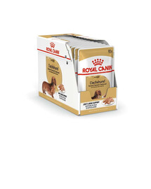 ROYAL CANIN Jezevčík mokrá paštika, pro dospělé psy jezevčíků