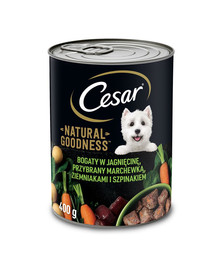 CESAR 400 g konzerva pro dospělé psy