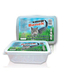 BENEK Miska na trávu 150g
