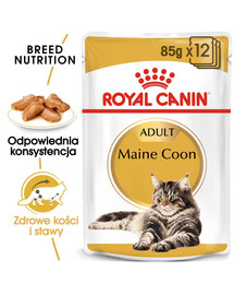 ROYAL CANIN Maine Coon Loaf 24 x 85g kapsičky s paštikou pro mainské mývalí kočky