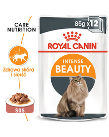 ROYAL CANIN Intense Beauty Gravy 24x 85g kapsička pro kočky ve šťávě